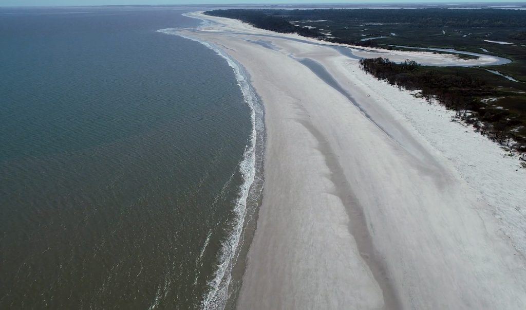 Things To Do Sapelo Island Tours